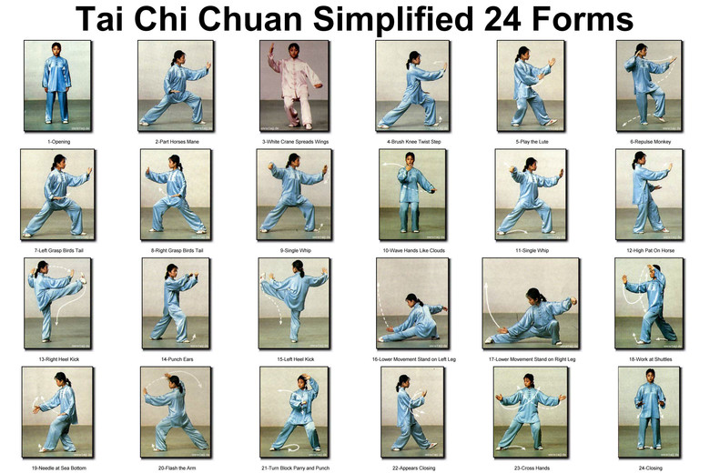 Free Download Tai Chi Beginners
